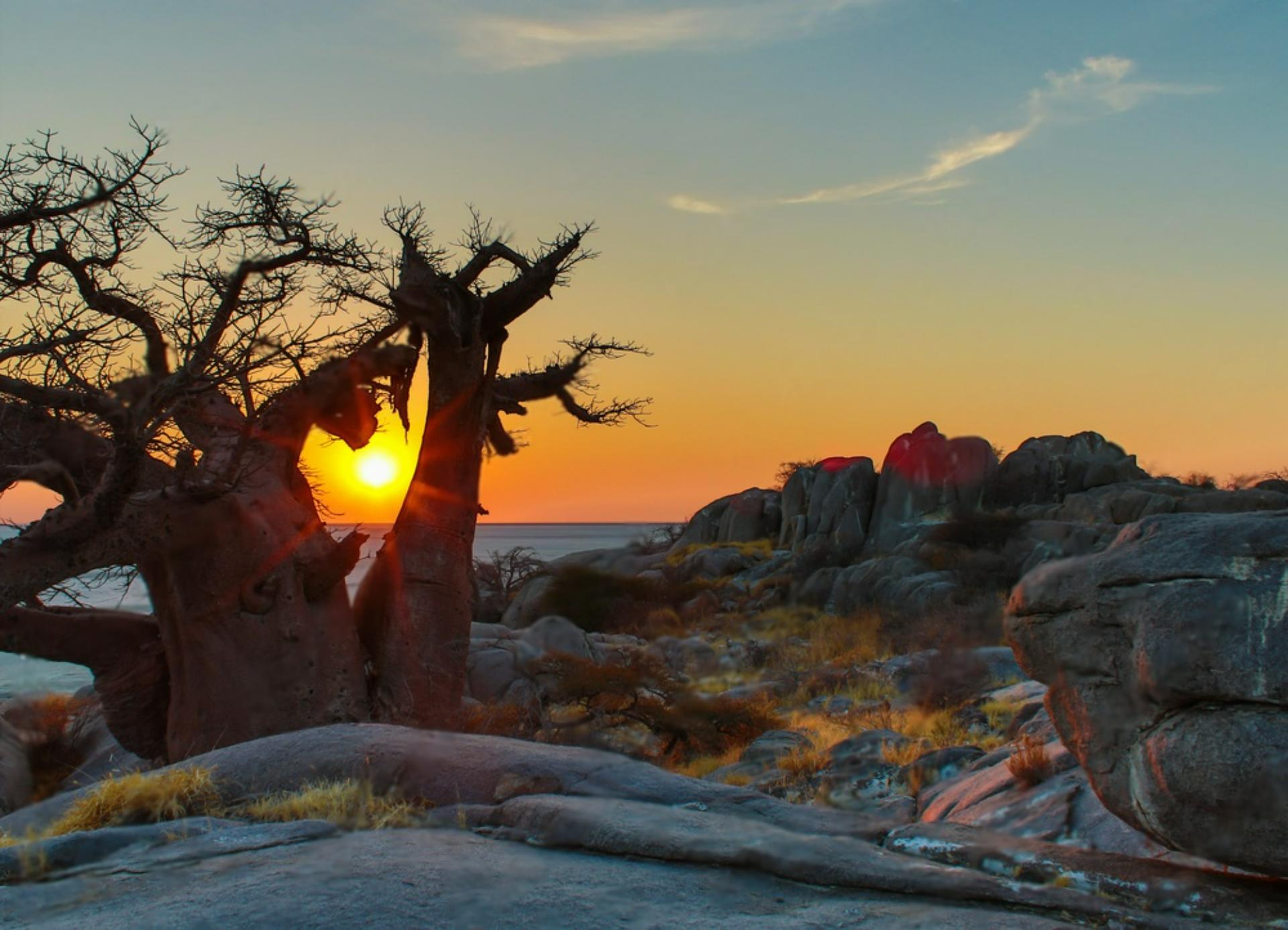 Home page_background pic